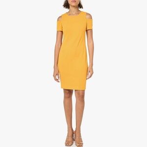 Tommy Hilfiger Women's Cold Shoulder Dress, Size 2P